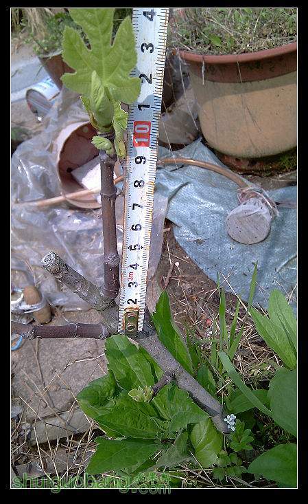 IMAG2972.jpg