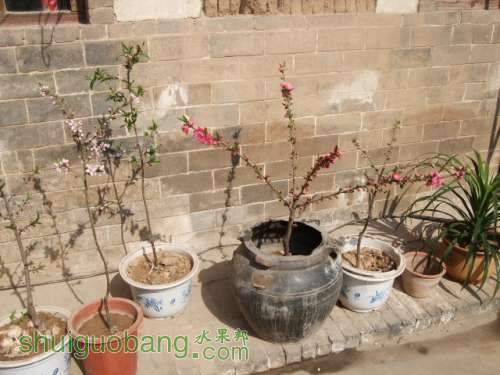 �ҵ������� 003.jpg