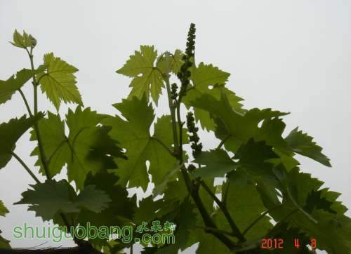 DSC00228_1.JPG