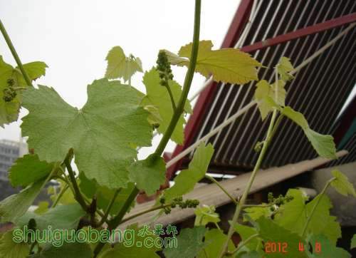DSC00220_1.JPG