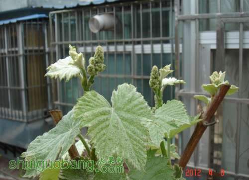 DSC00230_1.JPG