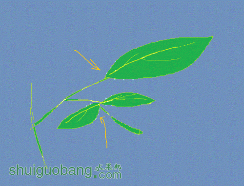 ��ݮ.gif