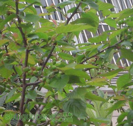 DSC00084.jpg