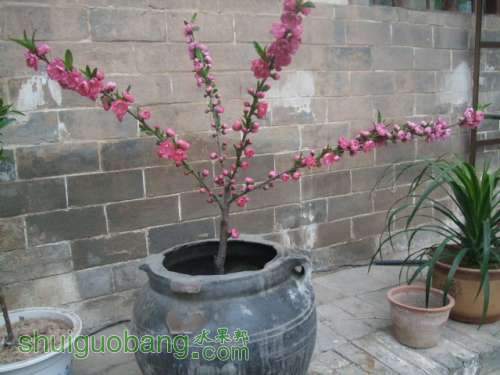 �ҵ������� 007.jpg