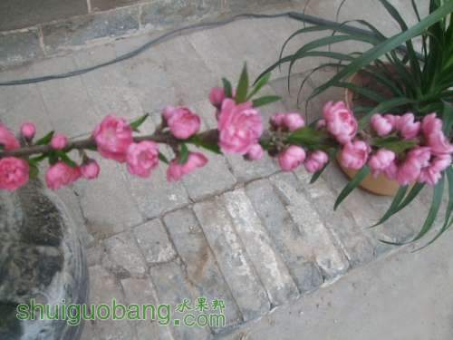 �ҵ������� 008.jpg