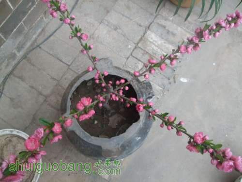 �ҵ������� 009.jpg