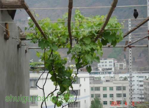 DSC00240_1.JPG
