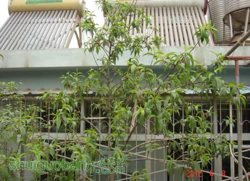 DSC00260_1.JPG