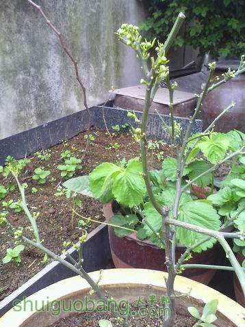 С IMG0410132900.jpg