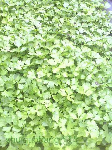 С IMG0410134600.jpg