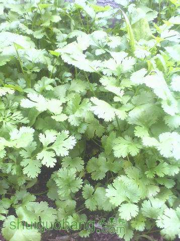 С IMG0410134601.jpg