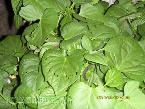 ������С SI857486.JPG