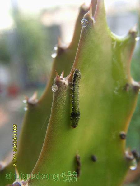 ������С ������С SI855154.JPG