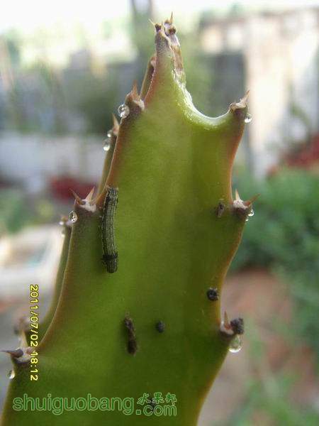 ������С ������С SI855153.JPG