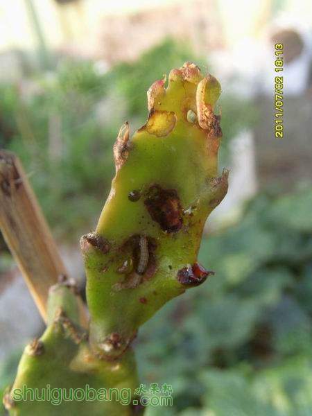 ������С ������С SI855155.JPG