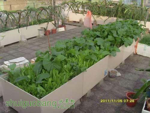 ������С ������С SI858608.JPG