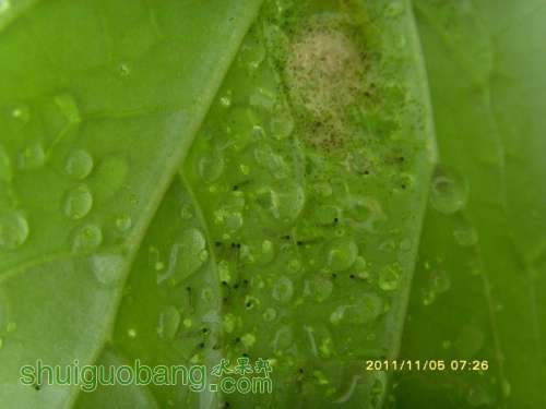 ������С ������С SI858609.JPG