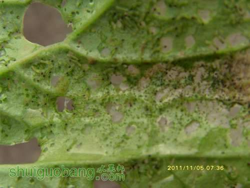 ������С ������С SI858610.JPG