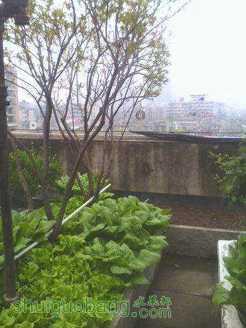 С IMG0410135600.jpg