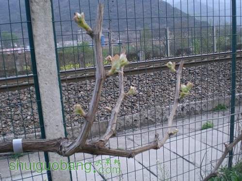 CIMG0047.JPG
