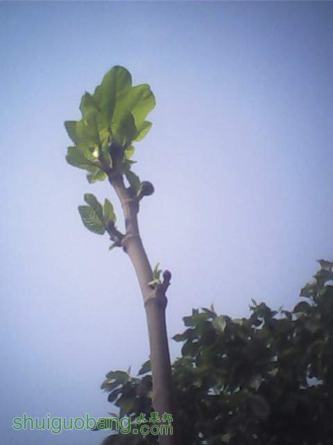 IMG0304A.jpg