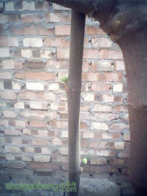 IMG0348A.jpg