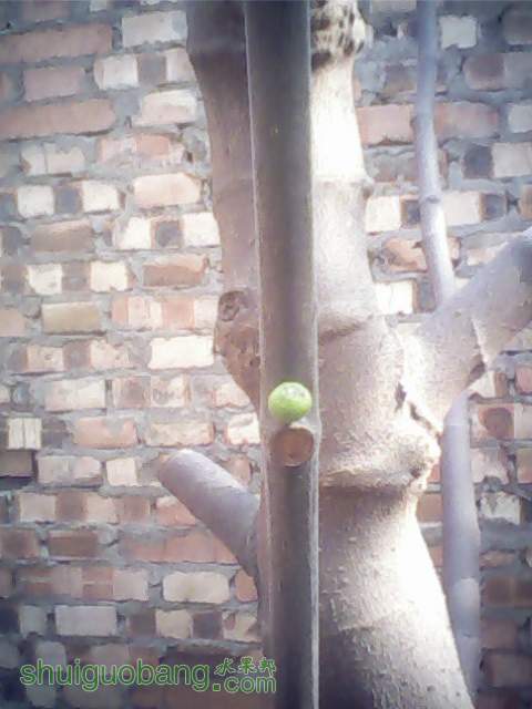 IMG0349A.jpg