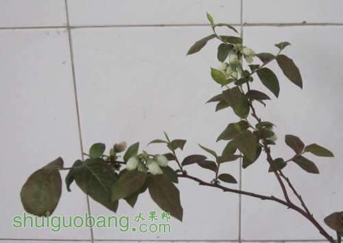 IMG_1989_conew1.jpg