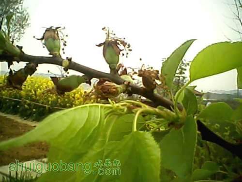2012.4.8һл2.jpg
