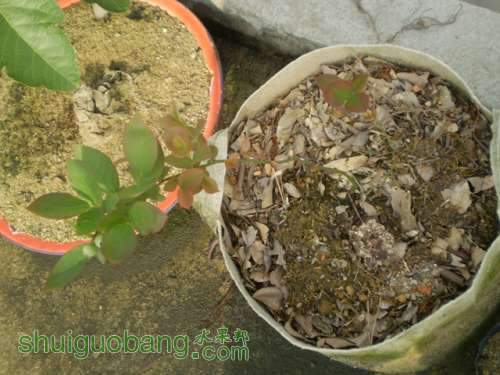 P1010072.jpg