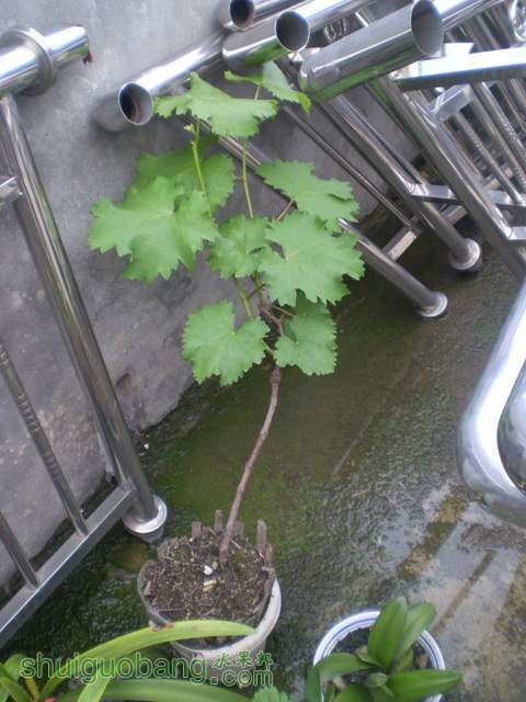 P1010002.jpg
