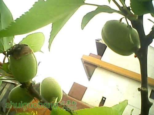 2012.4.143.jpg