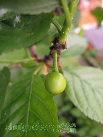 IMG_6602.JPG