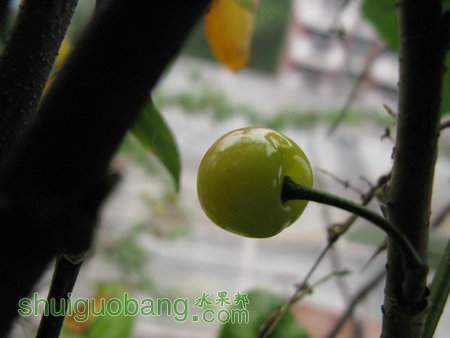 IMG_6775.JPG