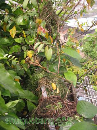 IMG_6864.JPG