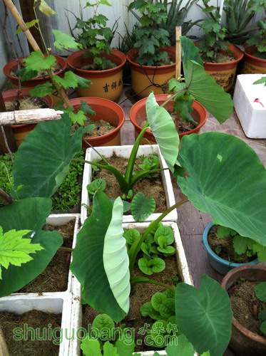 ��Ƭ20120216 818.jpg