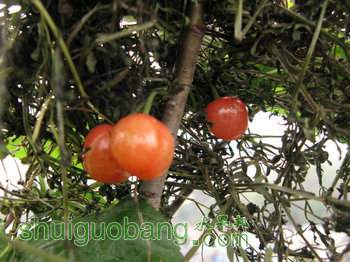 IMG_7087.JPG