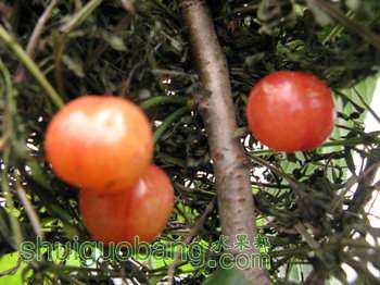 IMG_7099.JPG