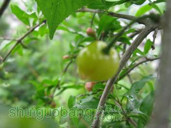 IMG_7141.JPG