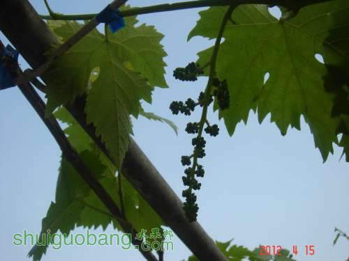 DSC00384.JPG
