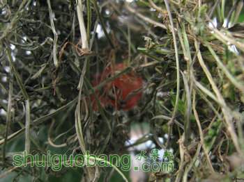 IMG_7173.JPG