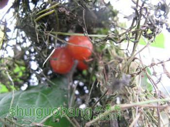 IMG_7159.JPG