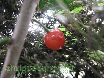 IMG_7162.JPG