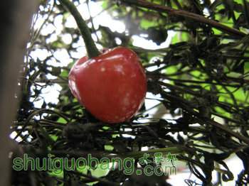 IMG_7165.JPG