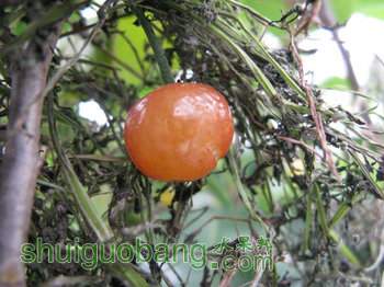 IMG_7185.JPG