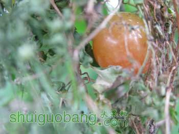 IMG_7202.JPG