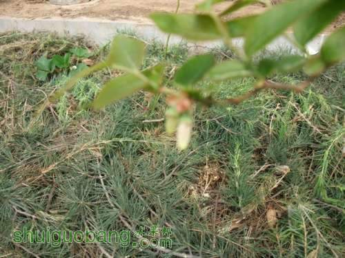 DSCF6799.JPG