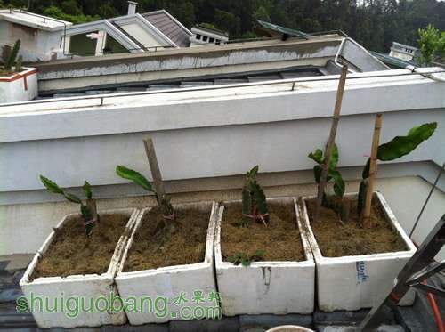 Ƭ20120216 869.jpg