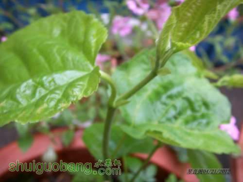 nEO_IMG_SSL11135.jpg