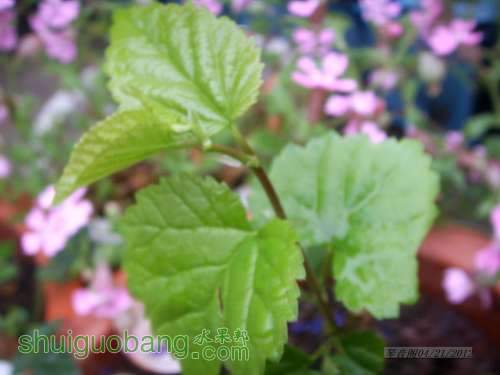 nEO_IMG_SSL11136.jpg